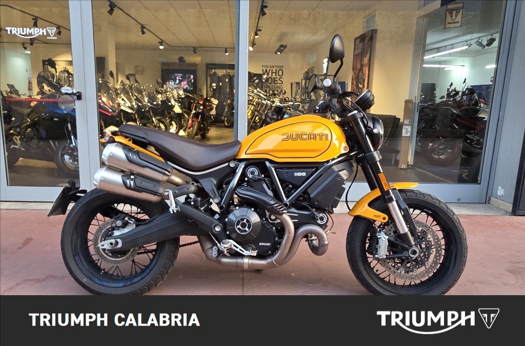 DUCATI Scrambler 1100 Tribute Pro