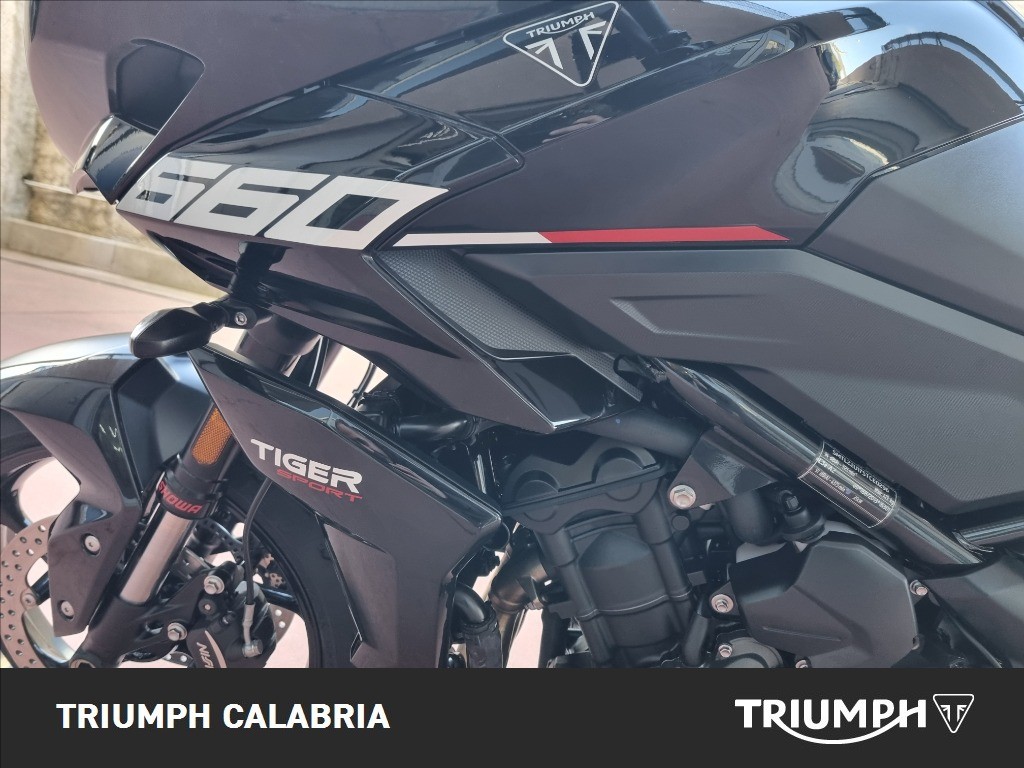TRIUMPH Tiger Sport 660 Abs