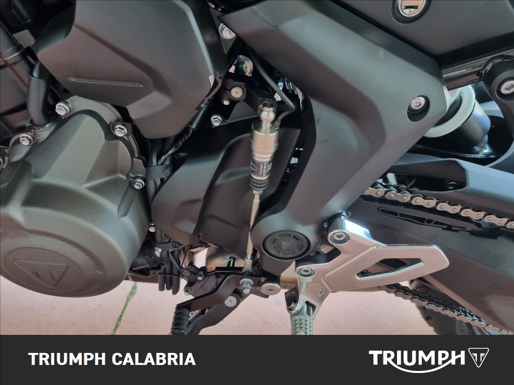 TRIUMPH Tiger Sport 660 Abs